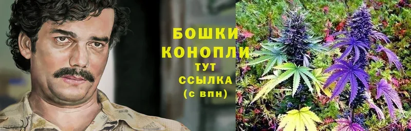 Шишки марихуана THC 21%  Биробиджан 